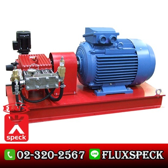 ปั๊มแรงดันสูง Plunger Pump System  - บริษัท ฟลุคส์ ชเป็ค ปั๊ม จำกัด